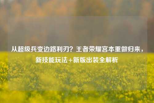 从超级兵变边路利刃？王者荣耀宫本重做归来，新技能玩法+新版出装全解析