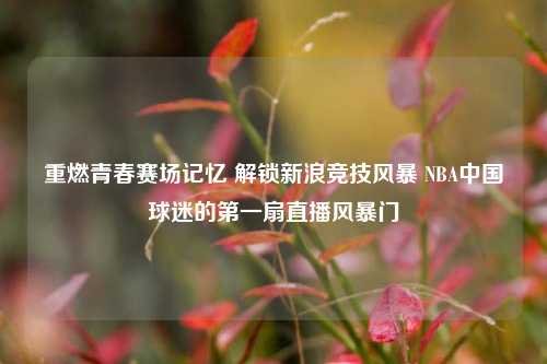重燃青春赛场记忆 解锁新浪竞技风暴 NBA中国球迷的之一扇直播风暴门