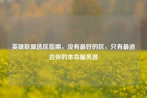 英雄联盟选区指南，没有更好的区，只有最适合你的本命服务器