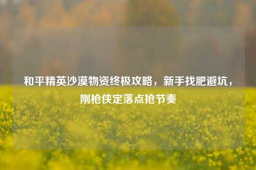 和平精英沙漠物资终极攻略，新手找肥避坑，刚枪侠定落点抢节奏
