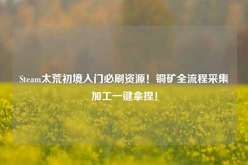 Steam太荒初境入门必刷资源!铜矿全流程采集加工一键拿捏!
