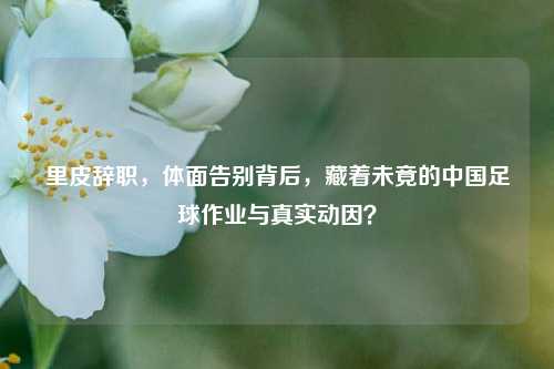 里皮辞职，体面告别背后，藏着未竟的中国足球作业与真实动因？