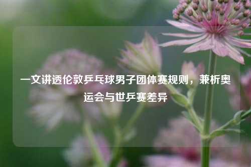一文讲透伦敦乒乓球男子团体赛规则，兼析奥运会与世乒赛差异