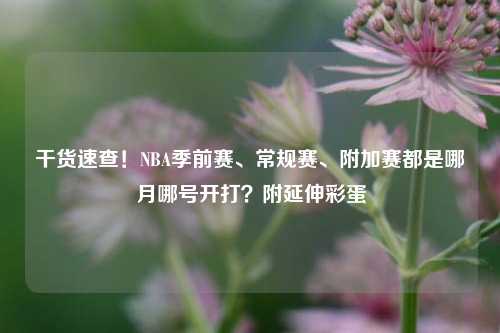 干货速查！NBA季前赛、常规赛、附加赛都是哪月哪号开打？附延伸彩蛋