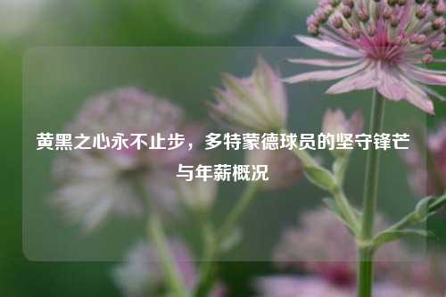 黄黑之心永不止步,多特蒙德球员的坚守锋芒与年薪概况