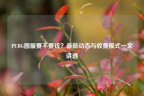 PUBG国服要不要钱?最新动态与收费模式一文讲透