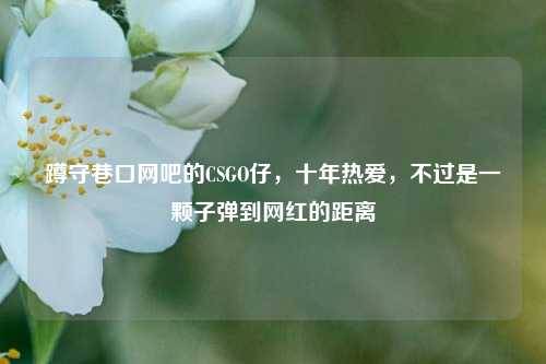 蹲守巷口网吧的CSGO仔,十年热爱,不过是一颗子弹到网红的距离