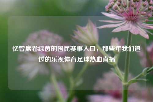 忆曾席卷绿茵的国民赛事入口，那些年我们追过的乐视体育足球热血直播