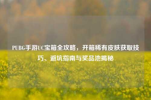 PUBG手游UC宝箱全攻略，开箱稀有皮肤获取技巧、避坑指南与奖品池揭秘