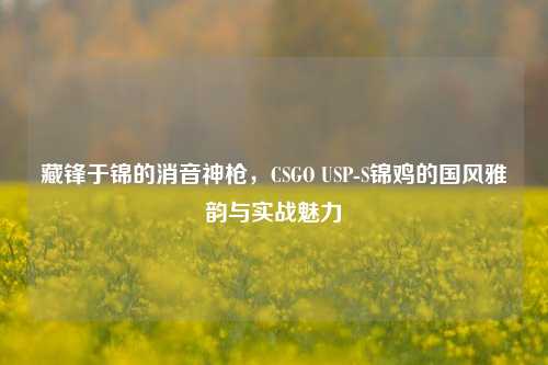 藏锋于锦的消音神枪，CSGO USP-S锦鸡的国风雅韵与实战魅力