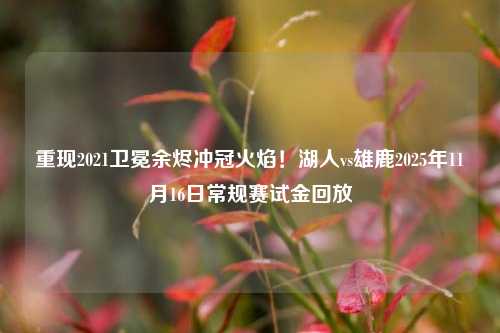 重现2021卫冕余烬冲冠火焰！湖人vs雄鹿2025年11月16日常规赛试金回放