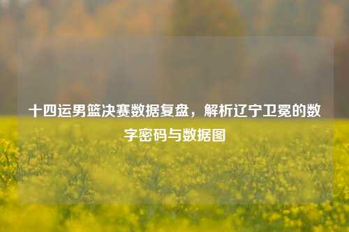 十四运男篮决赛数据复盘，解析辽宁卫冕的数字密码与数据图