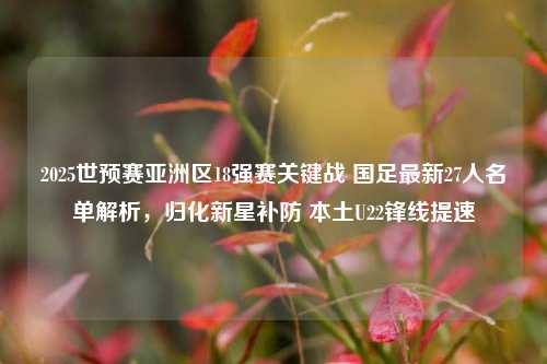 2025世预赛亚洲区18强赛关键战 国足最新27人名单解析，归化新星补防 本土U22锋线提速