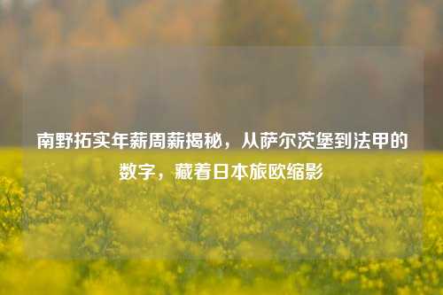 南野拓实年薪周薪揭秘，从萨尔茨堡到法甲的数字，藏着日本旅欧缩影