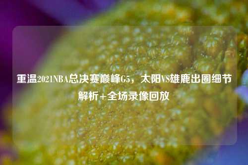 重温2021NBA总决赛巅峰G5，太阳VS雄鹿出圈细节解析+全场录像回放