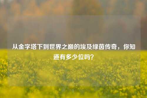 从金字塔下到世界之巅的埃及绿茵传奇，你知道有多少位吗？