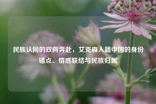 民族认同的双向奔赴，艾克森入籍中国的身份锚点、情感联结与民族归属