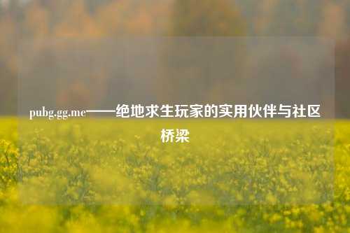 pubg.gg.me——绝地求生玩家的实用伙伴与社区桥梁