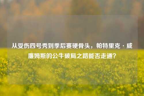 从受伤四号秀到季后赛硬骨头，帕特里克·威廉姆斯的公牛破局之路能否走通？