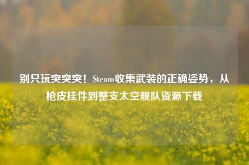 别只玩突突突！Steam收集武装的正确姿势，从枪皮挂件到整支太空舰队资源下载
