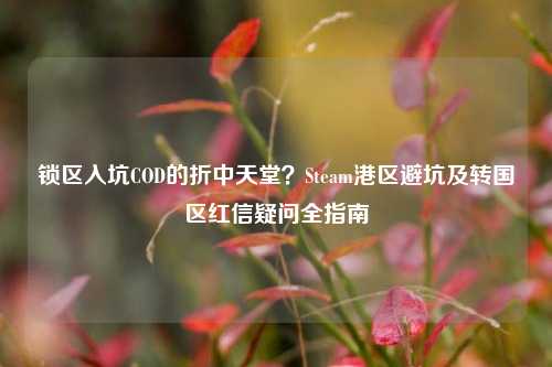 锁区入坑COD的折中天堂？Steam港区避坑及转国区红信疑问全指南
