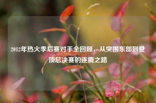 2012年热火季后赛对手全回顾，从突围东部到登顶总决赛的逐鹿之路