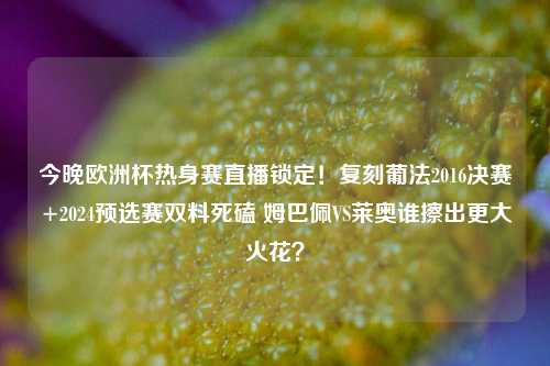 今晚欧洲杯热身赛直播锁定！复刻葡法2016决赛+2024预选赛双料死磕 姆巴佩VS莱奥谁擦出更大火花？
