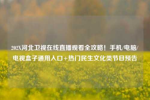 202X河北卫视在线直播观看全攻略！手机/电脑/电视盒子通用入口+热门民生文化类节目预告