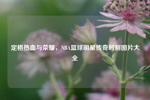 定格热血与荣耀，NBA篮球明星传奇时刻图片大全
