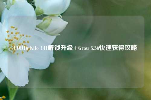 COD16 Kilo 141解锁升级+Grau 5.56快速获得攻略