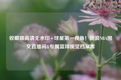 收藏级高清无水印+球星之一视角！新浪NBA图文直播间&专属篮球视觉档案库