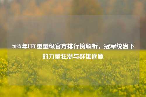 202X年UFC重量级官方排行榜解析，冠军统治下的力量狂潮与群雄逐鹿