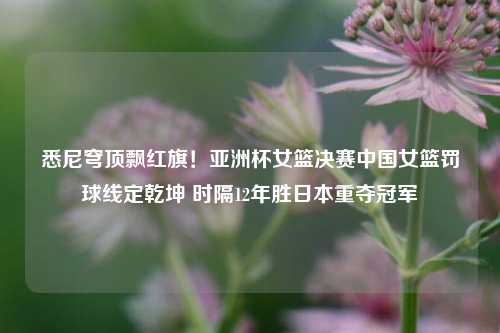 悉尼穹顶飘红旗！亚洲杯女篮决赛中国女篮罚球线定乾坤 时隔12年胜日本重夺冠军