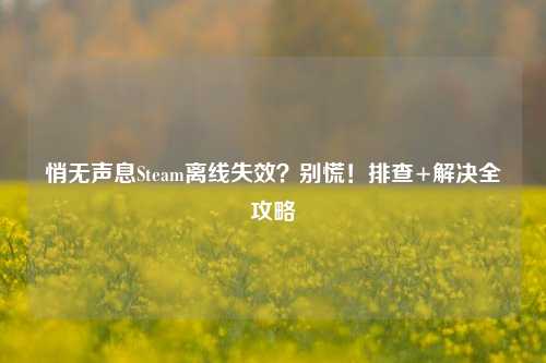 悄无声息Steam离线失效？别慌！排查+解决全攻略