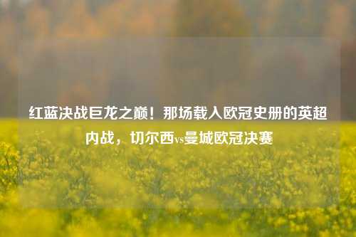 红蓝决战巨龙之巅！那场载入欧冠史册的英超内战，切尔西vs曼城欧冠决赛