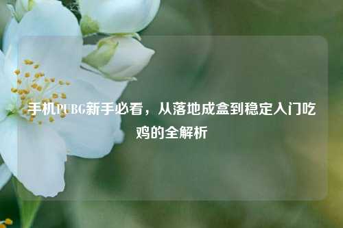 手机PUBG新手必看，从落地成盒到稳定入门吃鸡的全解析