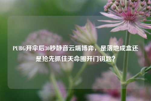 PUBG开伞后30秒静音云端博弈，是落地成盒还是抢先抓住天命圈开门钥匙？