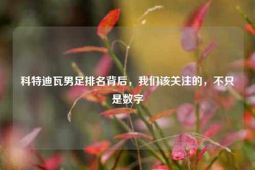 科特迪瓦男足排名背后，我们该关注的，不只是数字