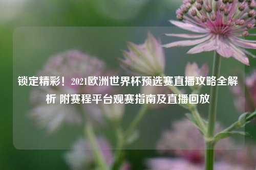 锁定精彩！2021欧洲世界杯预选赛直播攻略全解析 附赛程平台观赛指南及直播回放