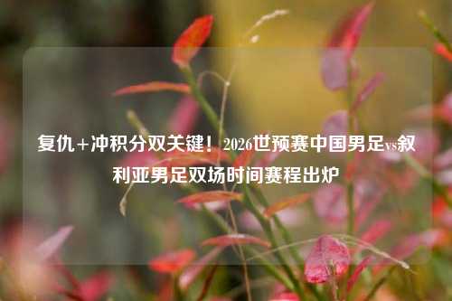 复仇+冲积分双关键！2026世预赛中国男足vs叙利亚男足双场时间赛程出炉