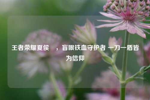王者荣耀夏侯惇，盲眼铁血守护者 一刀一盾皆为信仰