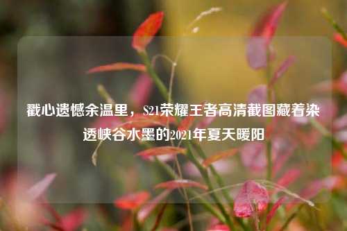 戳心遗憾余温里，S21荣耀王者高清截图藏着染透峡谷水墨的2021年夏天暖阳