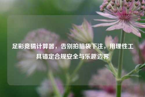 足彩竞猜计算器，告别拍脑袋下注，用理性工具锚定合规安全与乐趣边界