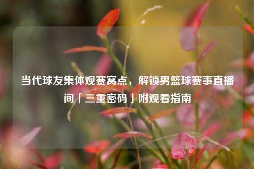 当代球友集体观赛窝点，解锁男篮球赛事直播间「三重密码」附观看指南