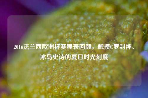 2016法兰西欧洲杯赛程表回顾，触摸C罗封神、冰岛史诗的夏日时光刻度