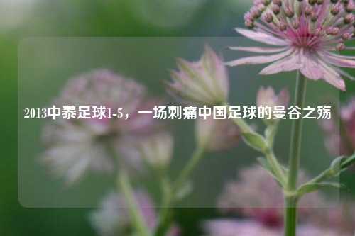 2013中泰足球1-5，一场刺痛中国足球的曼谷之殇