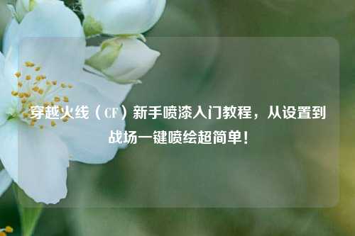 穿越火线（CF）新手喷漆入门教程，从设置到战场一键喷绘超简单！