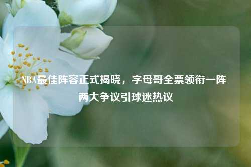 NBA更佳阵容正式揭晓，字母哥全票领衔一阵 两大争议引球迷热议