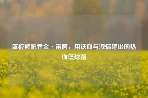 篮板狮吼乔金·诺阿，用铁血与***砸出的热血篮球路