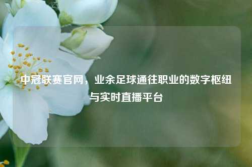中冠联赛官网，业余足球通往职业的数字枢纽与实时直播平台
